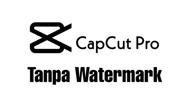 Download Video Capcut Tanpa Watermark Terbaru 2022