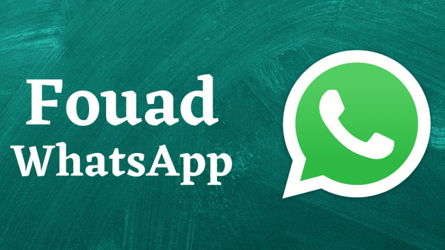 Download Fouad WhatsApp Apk Update Terbaru 2022 Official