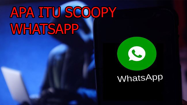 Apa itu Scoopy WhatsApp