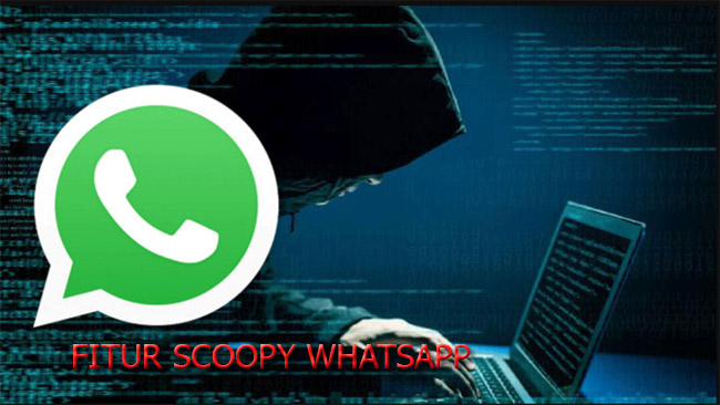 Fitur scoopy whatsapp