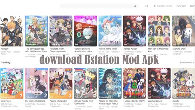Download BSTATION Mod aPK