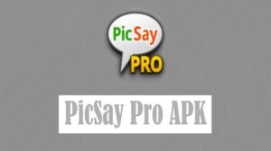 Download PicSay Pro Mod Apk Full Unlocked Versi Terbaru 2022