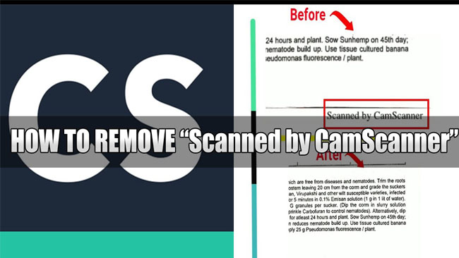 Cara Menghapus Tulisan Scanned by CamScanner di File PDF Online